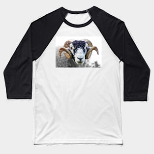 Swaledale Ram Baseball T-Shirt